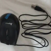 موس و هارد بلو ۵۰۰GB و ۱۶۰GB|قطعات و لوازم جانبی رایانه|تربت‌حیدریه, بی بی حسنیه|دیوار