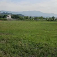 زمین هکتاری کاربری مسکونی و گردشگری لاهیجان|فروش زمین و ملک کلنگی|لاهیجان, بوجایه|دیوار