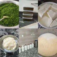 دوغ فله ای
