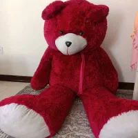 عروسک شاسقین