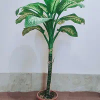 گل های طبیعی