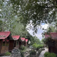 نیروی کار برای کافه رستوران پلشاهپور