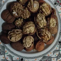 گردو|خوردنی و آشامیدنی|اردبیل, |دیوار