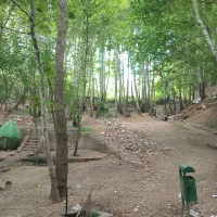 این زمین انگوری با آینده تزمینی