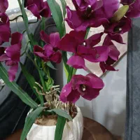 گل و گلدان|گل مصنوعی|قم, انسجام|دیوار