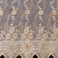 پرده عنکبوتی
