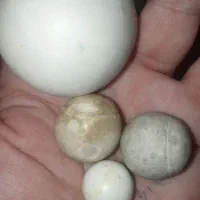 الماس آسیاب با عبور نور