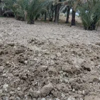 فروش کود حیوانی با نیسان