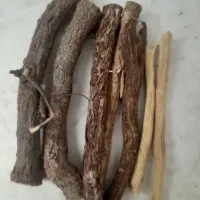 چوب شیرین بیان