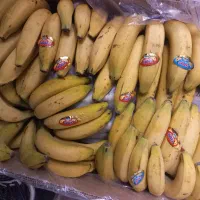 یک نفر همکار برای میوه فروشی