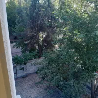 نیروی خانم