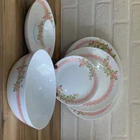 ظرف ارکوپال  کاملا نو هستش استفاده شده نیست