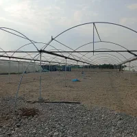 ساخت گلخانه|خدمات پیشه و مهارت|جیرفت, |دیوار