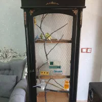 پرنده