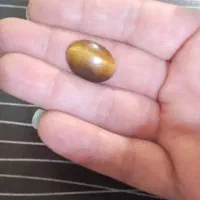 یاقوت و سنگ چشم ببری|کلکسیون اشیاء عتیقه|صدرا-فارس, فاز ۱|دیوار