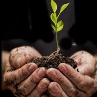 طلاق نگیرید . با ما فرصتی دوباره به زندگی بدید .