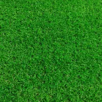 نماینده رسمی آسیا چمن در تبریز|گل مصنوعی|تبریز, |دیوار