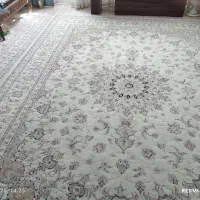 فرش|فرش|نیشابور, شریعتی|دیوار