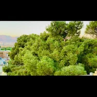 فروش منزل سه طبقه در گویم|فروش آپارتمان|شیراز, گویم|دیوار
