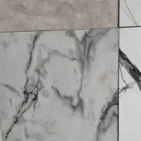 همخونه خانم