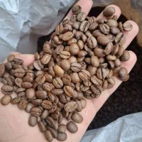 دون و پودر قهوه ۱۰۰ روبستا ۷۰ ۳۰ ۸۰ ۳۰