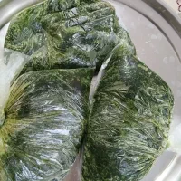 سبزی خورشت|خوردنی و آشامیدنی|شیراز, مسلم|دیوار