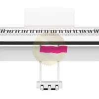 پیانو دیجیتال یاماها P-225|پیانو، کیبورد، آکاردئون|تبریز, |دیوار