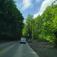 پذیرش سرویس مدارس