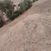 گزرە|عمده‌فروشی|مهاباد (آذربایجان غربی), |دیوار