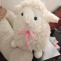 عروسک خرسی و بره پشمالو|اسباببازی بچه|بندرعباس, |دیوار