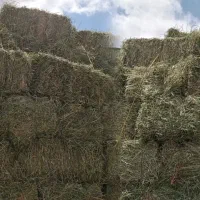 خرید و فروش یونجه و کاه