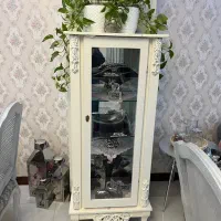 بوفه/ ویترین