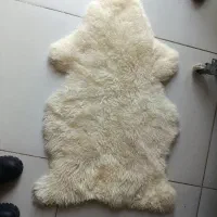 پادری پوست وارداتی