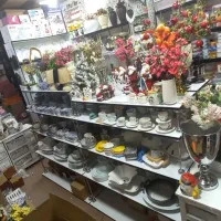 قفسه ام دی اف|فروشگاه و مغازه|بندر انزلی, آذربایجان|دیوار