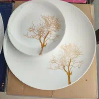 ارکوپال ۳۰ نفره  ۱۰۴ پارچه