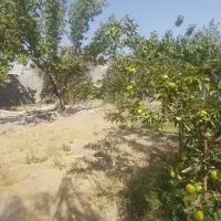 باغ ۵۰۳ متری در نزدیکی شهرک خاوران|فروش خانه و ویلا|باسمنج, |دیوار