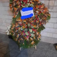 دسته گل تاج خروس|گل و گیاه طبیعی|تهران, امیریه|دیوار