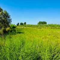 ساخت کلبه سوئیسی 45 روزه بصورت اقساطی|مشارکت در ساخت املاک|سرخرود, |دیوار
