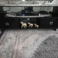 میز تلویزیون