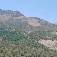 جاره یک باب منزل مسکونی شناژ شیک وتمیز