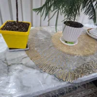 میز|میز و صندلی غذاخوری|آران و بیدگل, |دیوار
