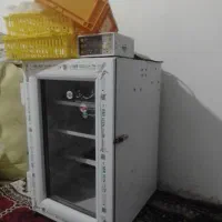 دستگاه جوجه کشی مشهد برق ۸۴ تایی|لوازم جانبی حیوانات|مشهد, طرق|دیوار