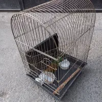 قفس طوطی و لانه پرنده