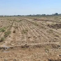 اجاره-زمین-کشاورزی