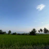 زمین-خوش-نشین-300-متری-در-شهرک-قو-رستم-رود