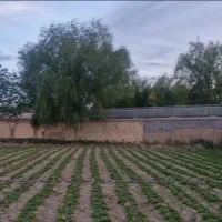 باغ چهاردیواری آب و برق دهکده باغ ویلای حیدرآباد|فروش زمین و ملک کلنگی|اصفهان, بهارستان|دیوار