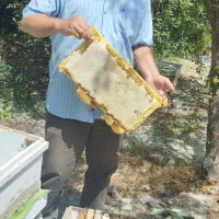 عسل طبیعی صنعت پور