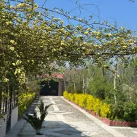 باغ هیچ خانه( یوگا، تی ار ایکس و فرم دهی بدن)