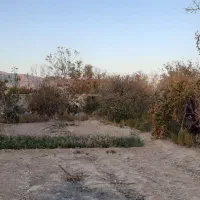 فروش زمین
