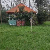 کدگیس عباس/۲۰۰۰متر خانه محوطه نوساز قیمت۶۷۰۰|فروش خانه و ویلا|سنگر, |دیوار